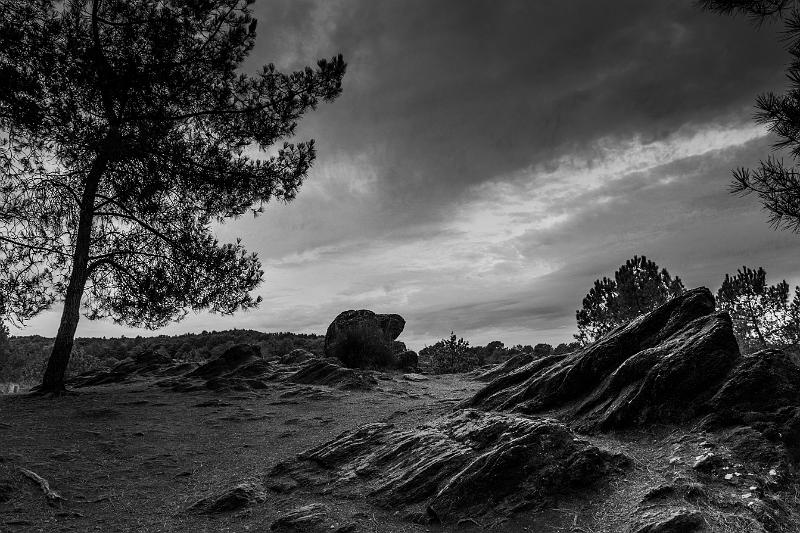 2019_09_09_Bretagne (0002).jpg - Brocéliande (Tréhorenteuc septembre 2019)